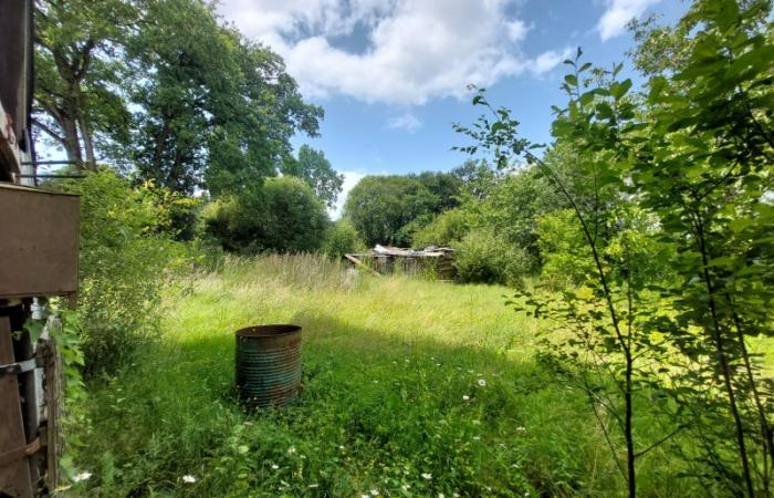 Longère à réhabiliter + hangar et terrain constructible à Theix