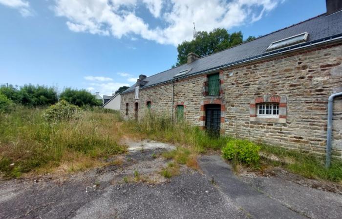 Longère à réhabiliter + hangar et terrain constructible à Theix