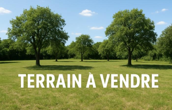 Terrain constructible à Pluneret