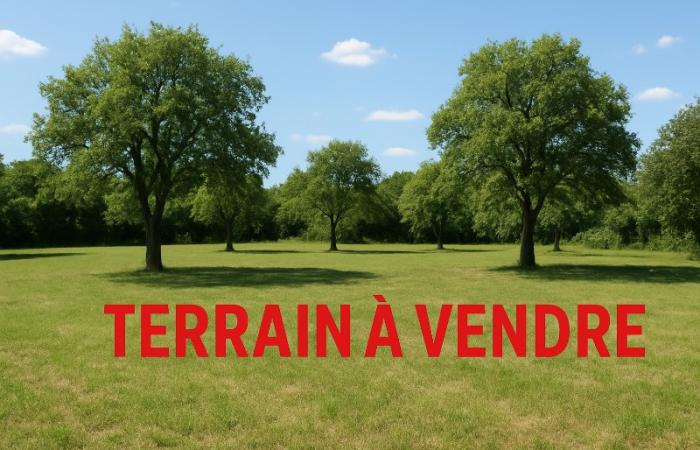 Terrain à bâtir à Vannes