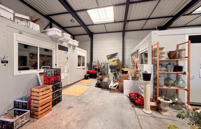 Local d'activité polyvalent de 255 m²