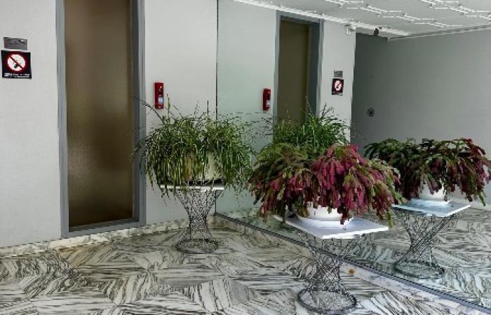 Appartement proche du centre ville de Vannes